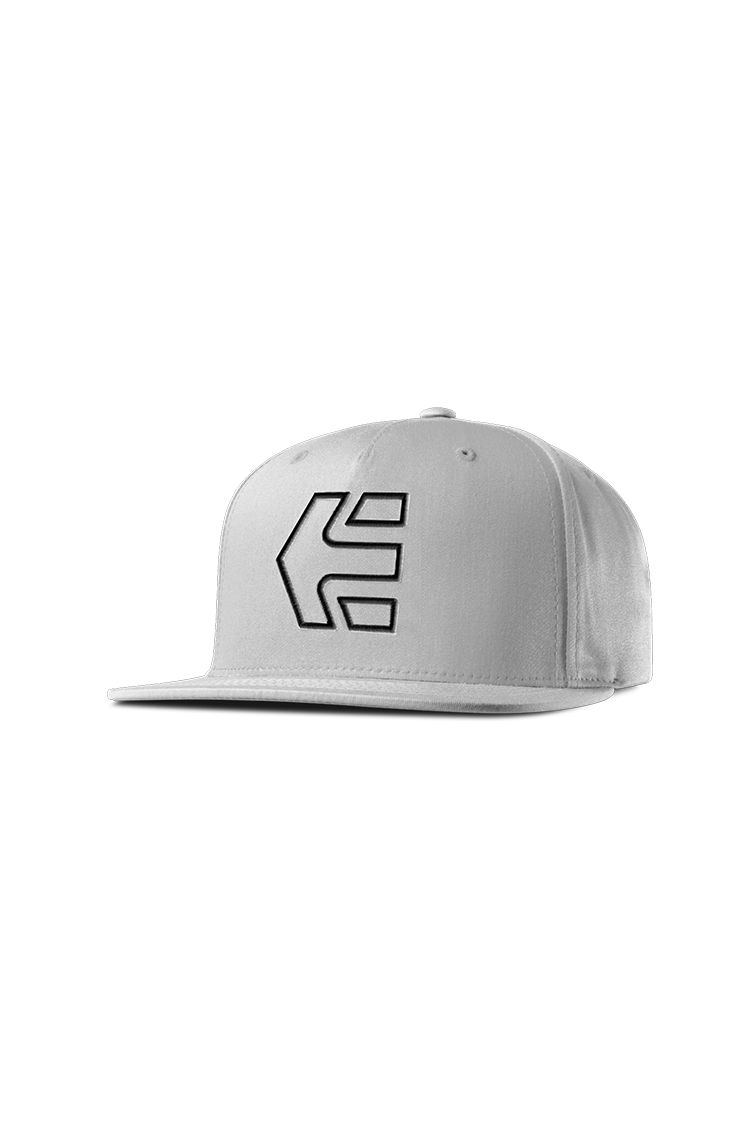Etnies Icon 7 Snapback Hat light grey