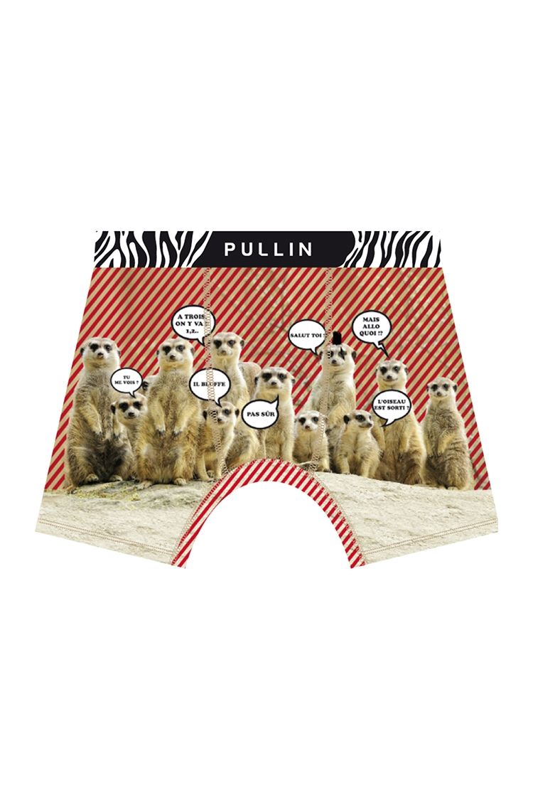 Pull-In Suricate Underwear 2019