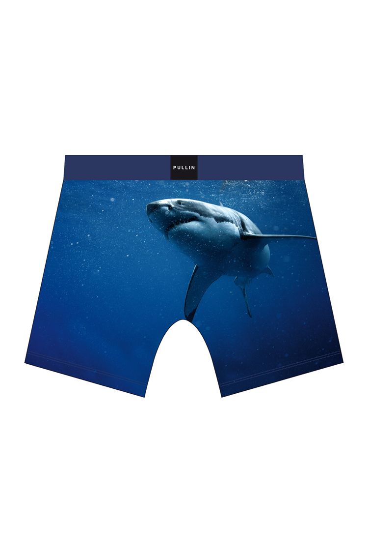 Pull-In Sharky Underwear 2018